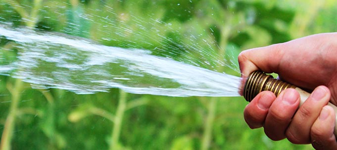 Manguera con agua